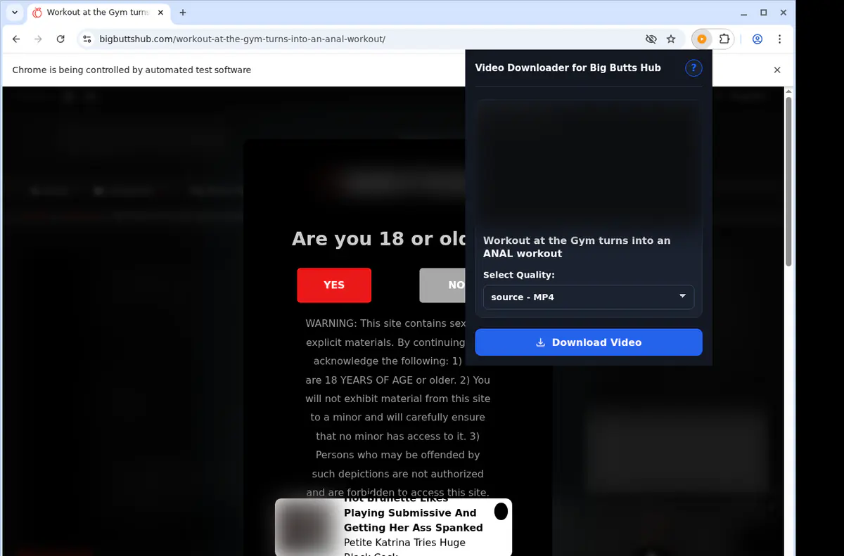 Bigbuttshub Video Downloader browser extension screenshot 3