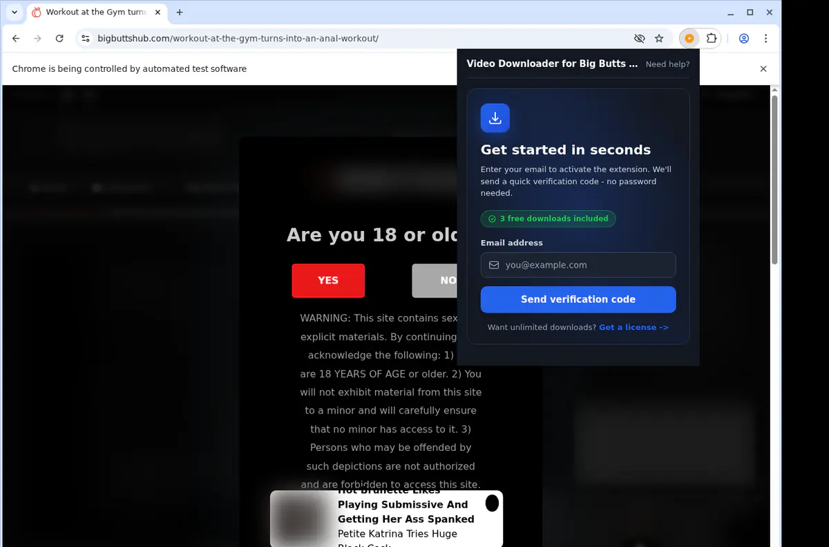 Bigbuttshub Video Downloader browser extension screenshot 4